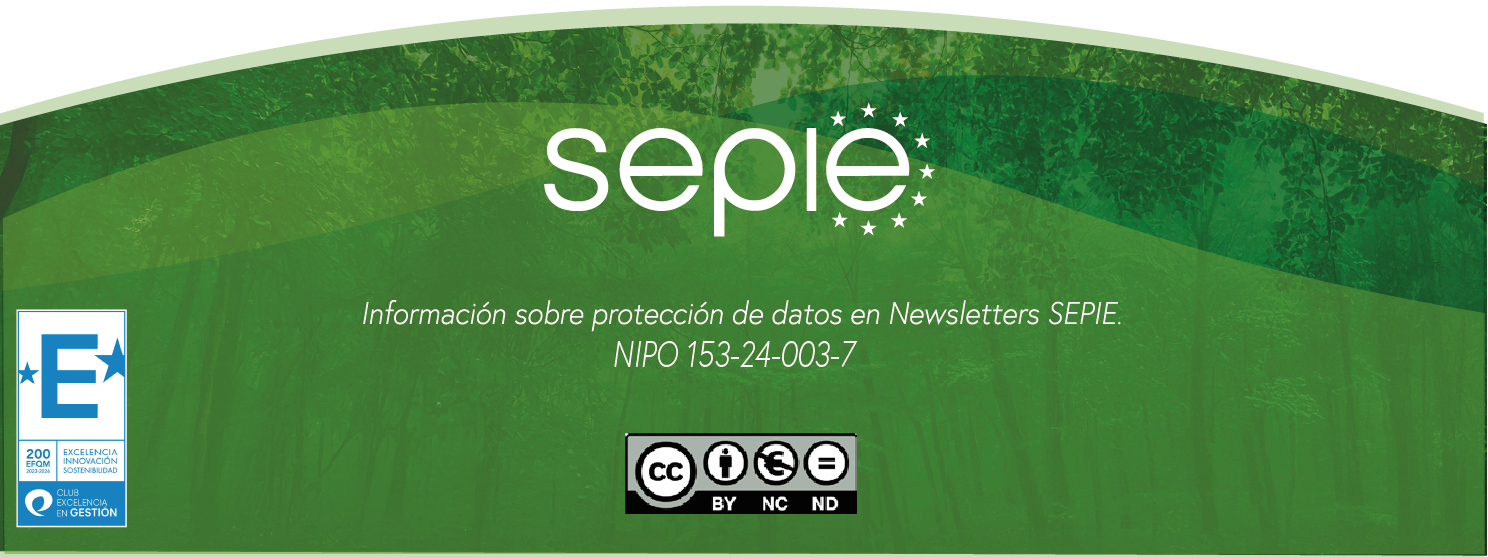 NEWSLETTER N⁰ Especial - Jornada anual de difusión Erasmus+ 2025