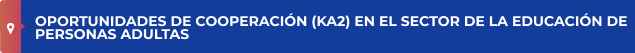 OPORTUNIDADES DE COOPERACIÓN (KA2) EN EL SECTOR DE LA EDUCACIÓN DE PERSONAS ADULTAS
