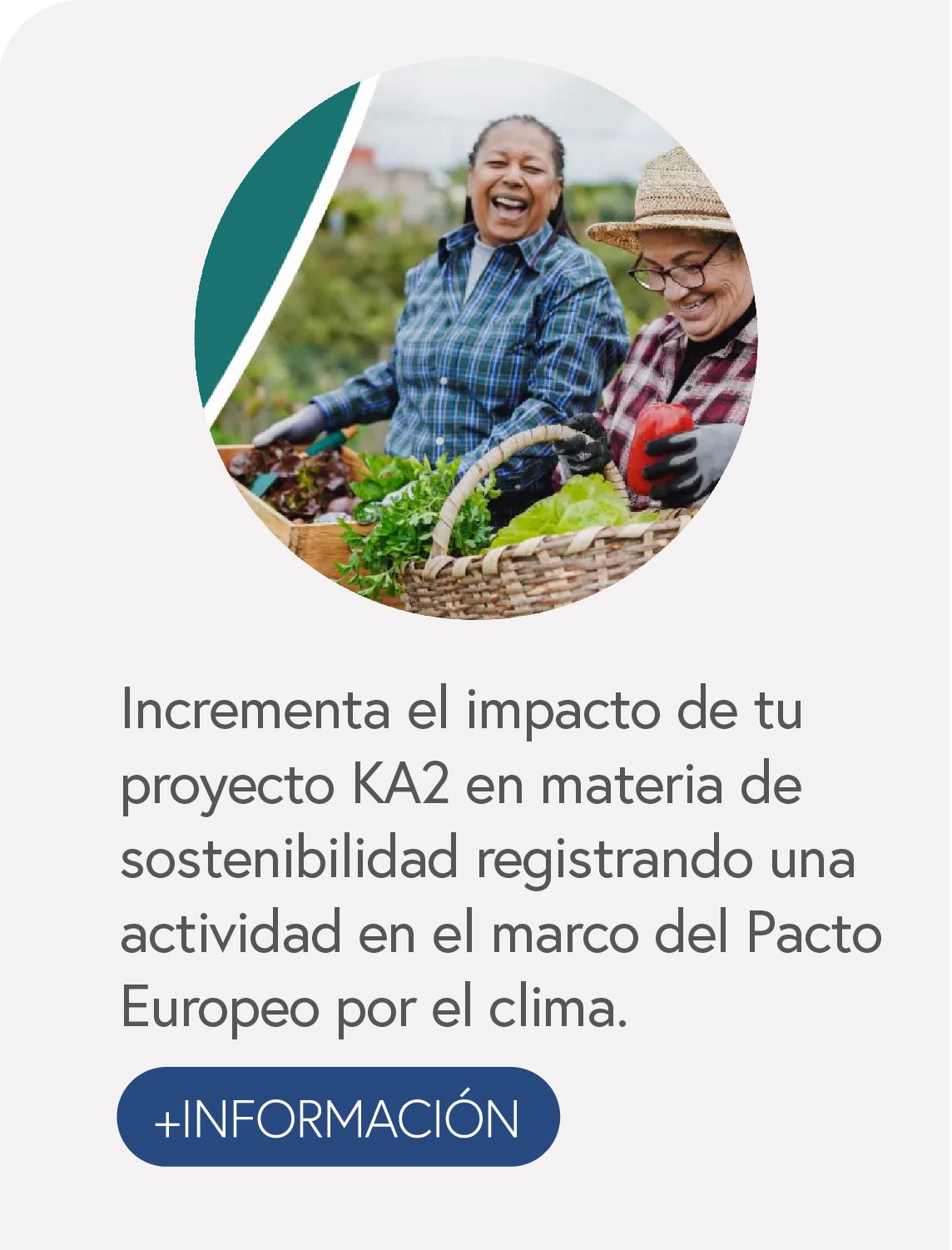 Incrementa el impacto de tu proyecto KA2 en materia de sostenibilidad registrando una actividad en el marco del Pacto Europeo por el clima